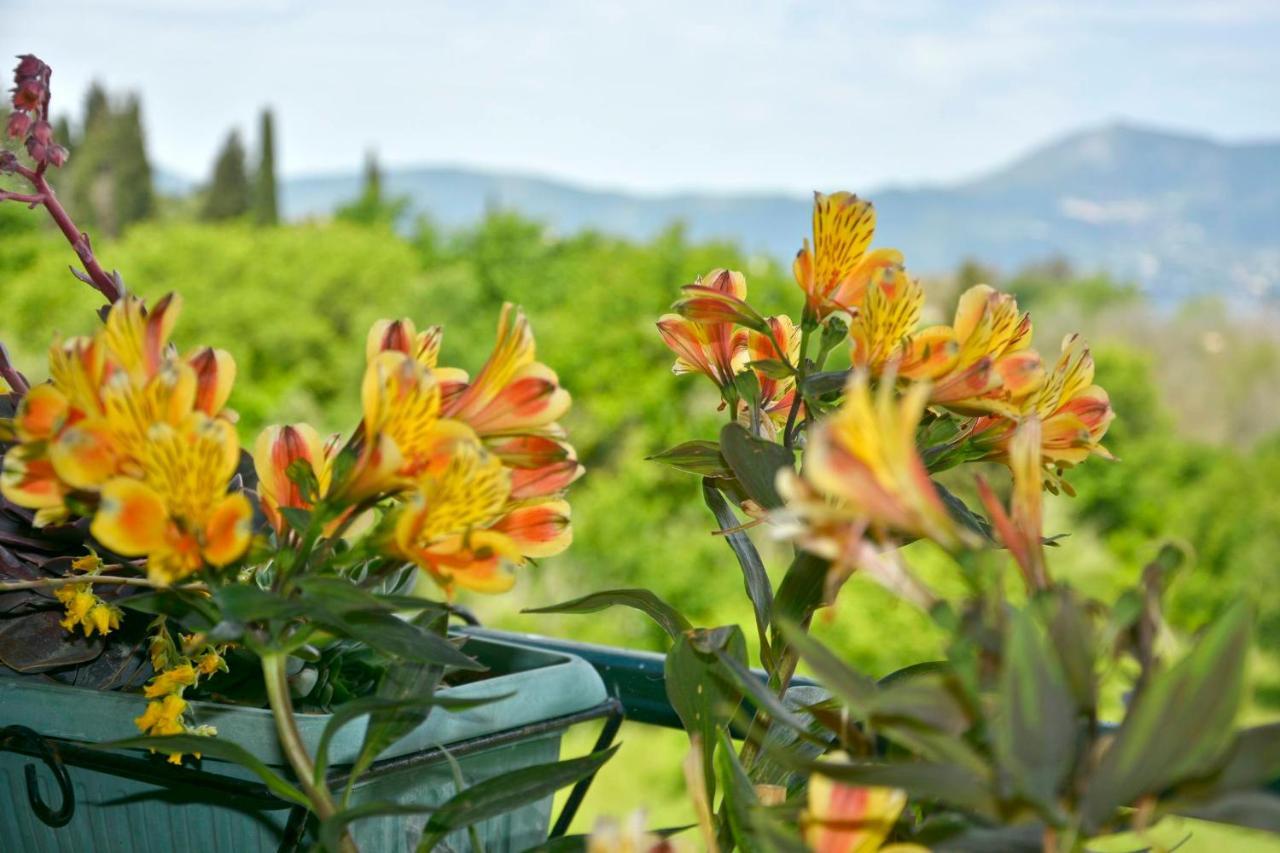 Corfu Seaty 公寓 Potamos (Corfu)